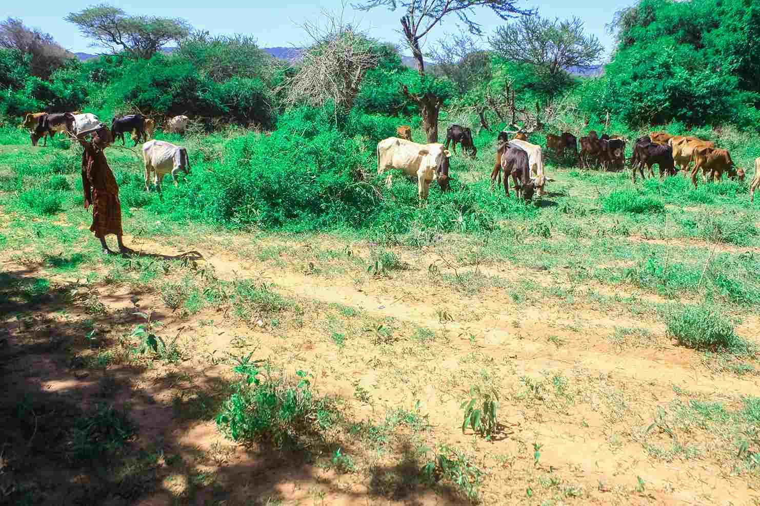 Community ecosystem management in Kiteto District